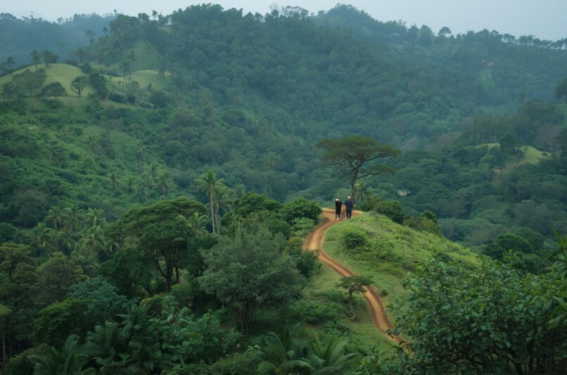 Eco Tourism Walks in Ooty – Pentoz Hotels