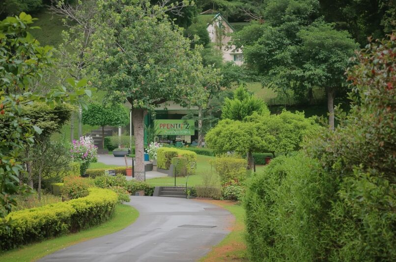 Affordable Hotels in Ooty for a Peaceful Hill Station Stay