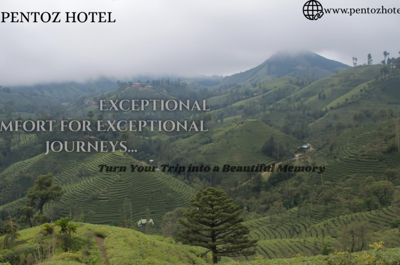 Hotel near Tea Plantations Ooty – Pentoz Hotel Ooty