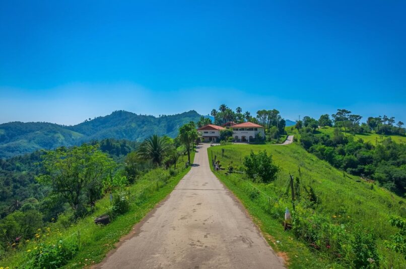 Nature Walks Near Ooty Lake – Pentoz Hotels