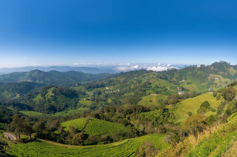 Best Hotel in Ooty for a Relaxing and Comfortable Hill Stay