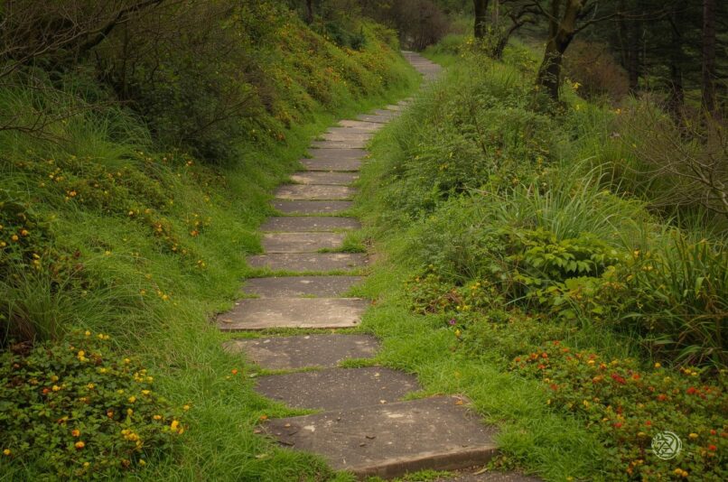 Ooty Eco Walks – Pentoz Hotels