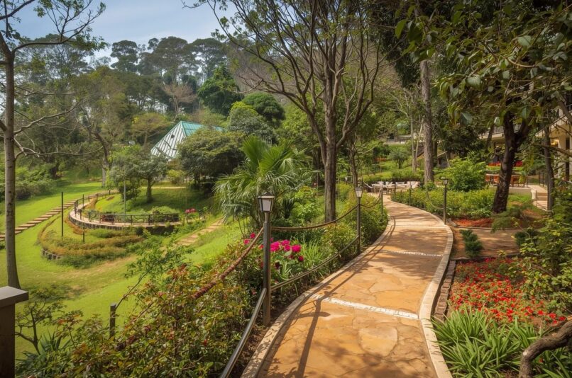Nilgiris Eco Tourism Trails – Pentoz Hotels