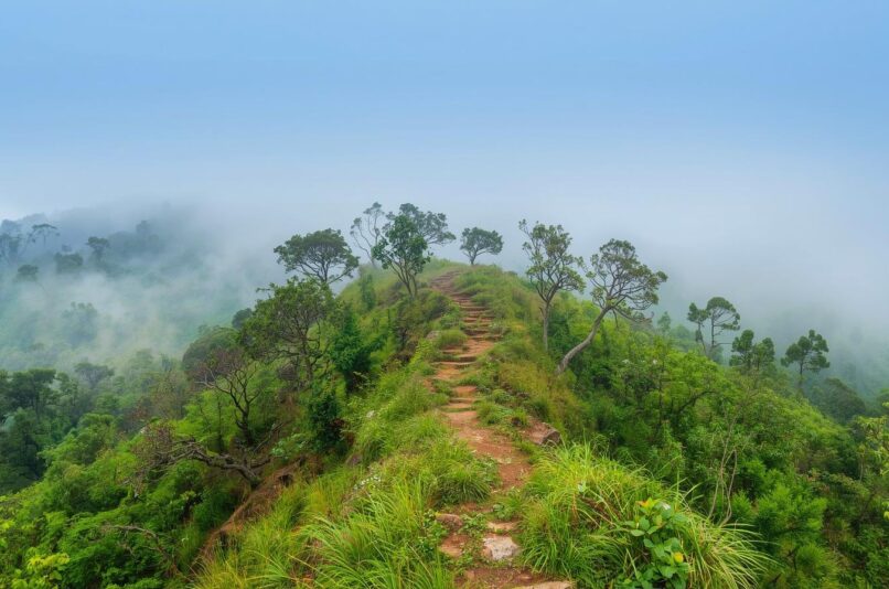 Ooty Hiking and Photography Trails – Pentoz Hotels