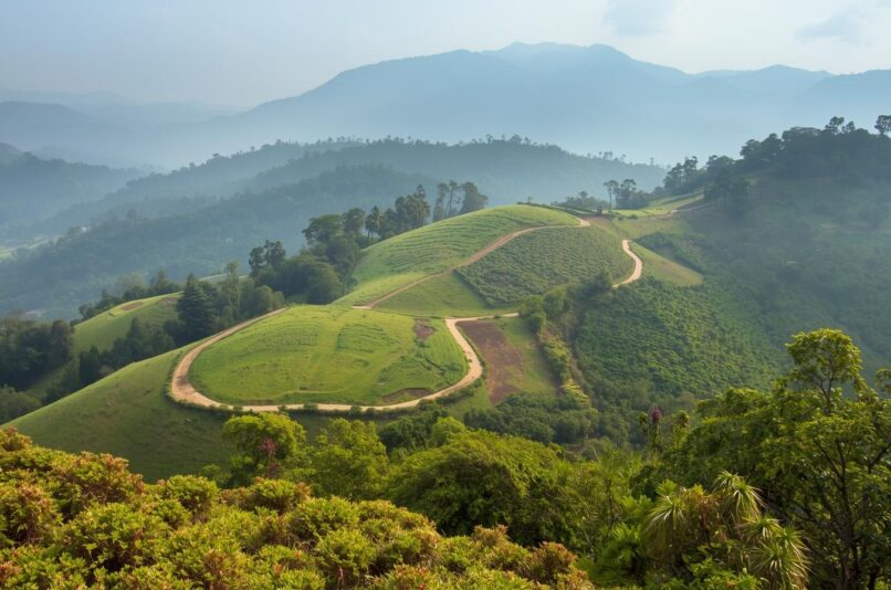 Best Trails in Nilgiri Shola Forests – Pentoz Hotels