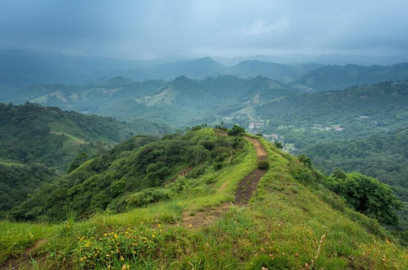 Ooty Nature Exploration Trails – Pentoz Hotels