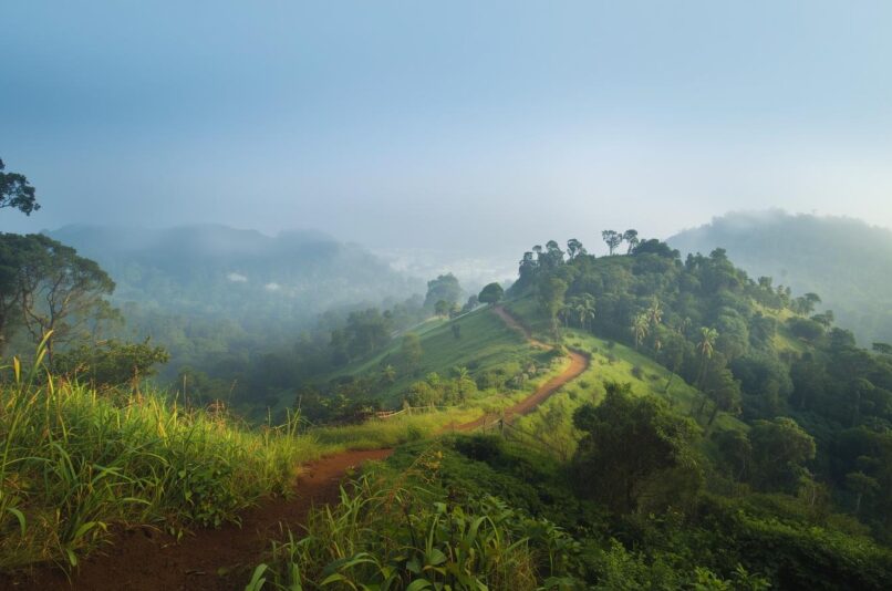 Luxury Hotel in Ooty for a Refined and Relaxing Hill Experience