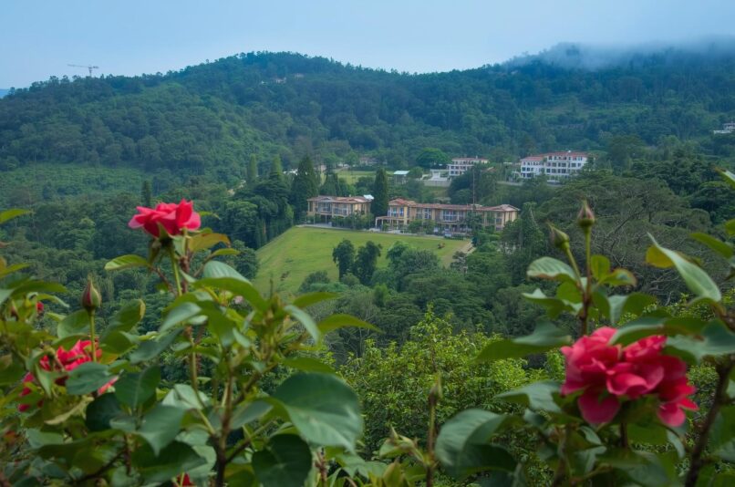 Stay Near Ooty Rose Garden – Pentoz Hotels.. generate image (2)