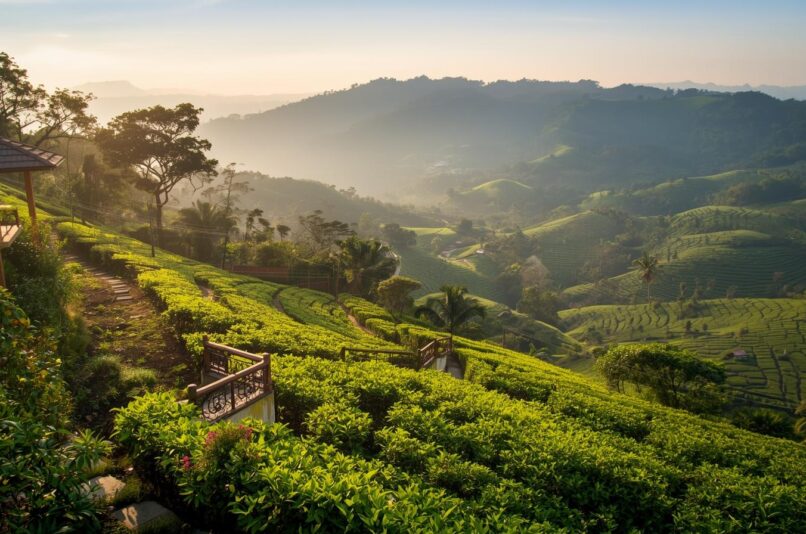 Nature Conservation Trails Ooty – Pentoz Hotels